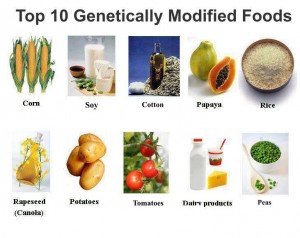 top-10-gmo-foods